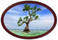 Logo_w158